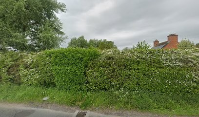 Poppy & Willow Flowers, Florist in Swindon