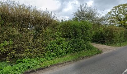 Tigers To Lilies, Florist in Hassocks