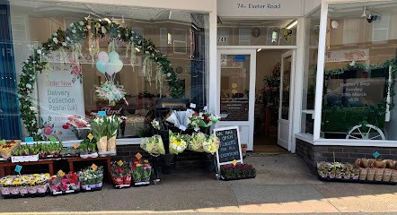 Celebrations Floral, Florist in Exmouth