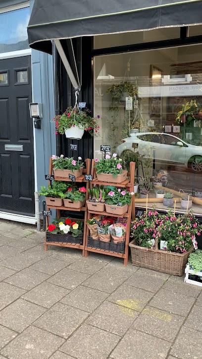 Andrea's Flower Boutique, Florist in Penarth