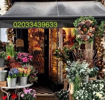 Flowerista, Florist in Gravesend