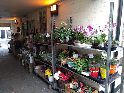 Florabunda, Florist in Ludlow