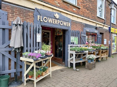 Flower Power, Florist in Stevenage