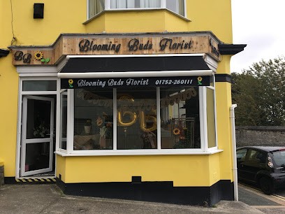Blooming Buds Florist, Florist in Plymouth