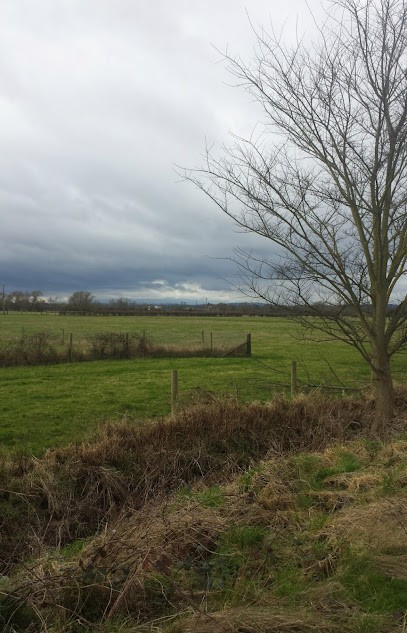 Martine's Flowers, Florist in Cheltenham
