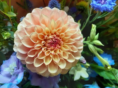 Trower's Flowers, Florist in Hassocks