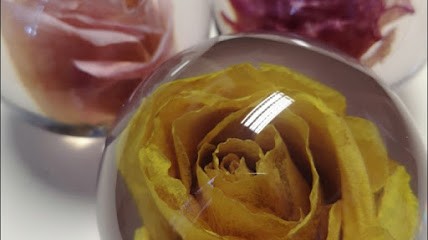 Preserved Forever, Florist in Birmingham