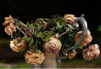 Wisbech Flowers, Florist in Wisbech