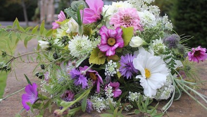 Cloudberry Flowers, Florist in Peebles