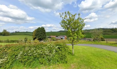 Phillips Jan, Florist in Montgomery