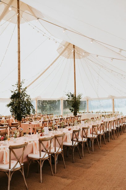 Wild Rose Flowers, Florist in Bristol