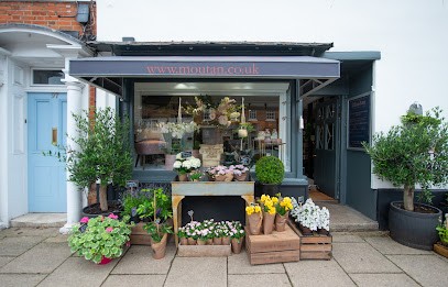 Moutan Flowers, Florist in Hook