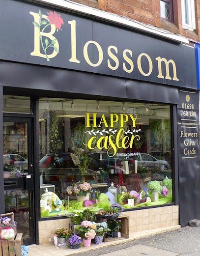 Blossom, Florist in Motherwell