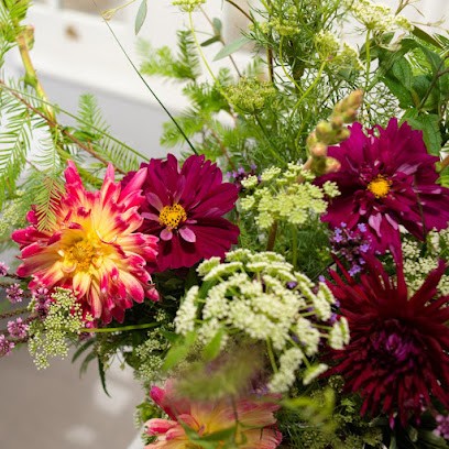 Wild Cyclamen Flower Garden, Florist in Bude