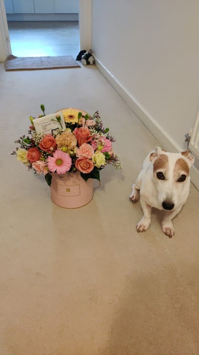 Eden of Cleeve, Florist in Cheltenham