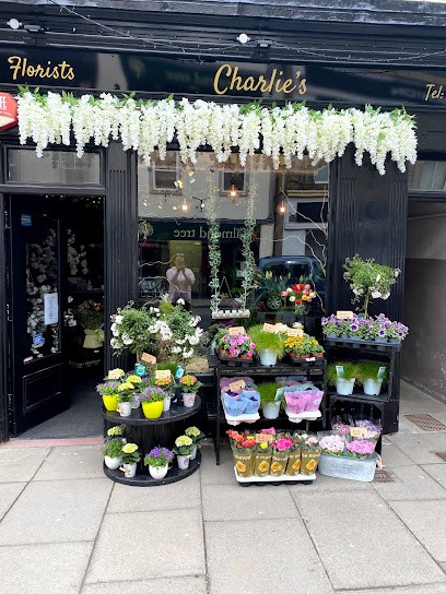 Charlie's Florist, Florist in Hawick