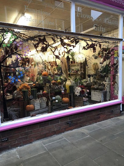 All Season Florist, Florist in Gainsborough