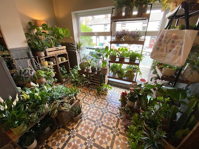 Sophie's Flower Pot, Florist in Chorley