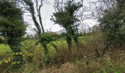 Treasured Memories Florist, Florist in Londonderry