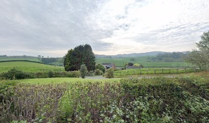 Flowers By Jan, Florist in Montgomery