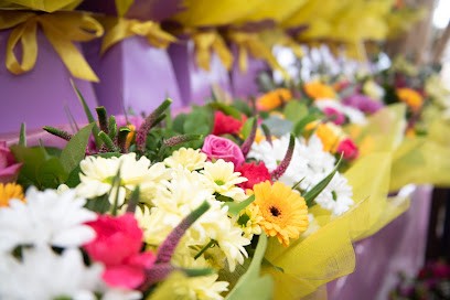 Junies Florist & co, Florist in Gravesend