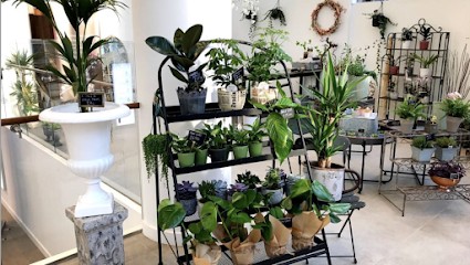 Blossom Flowers Manchester, Florist in Manchester