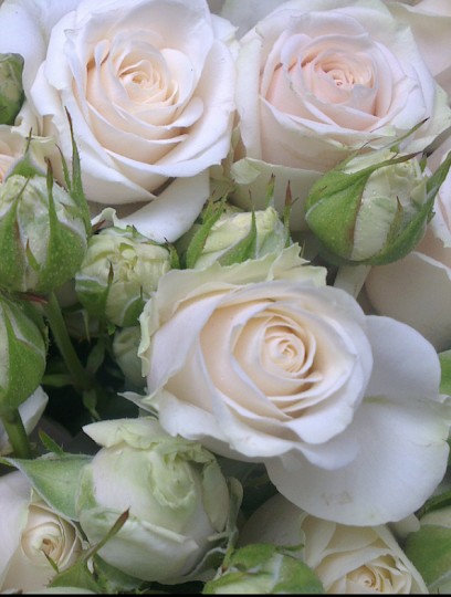 Crystal Blooms, Florist in Wimborne