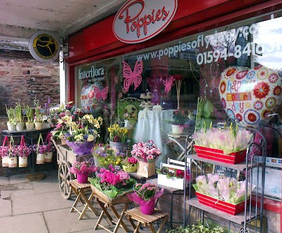 Poppies, Florist in Lydney