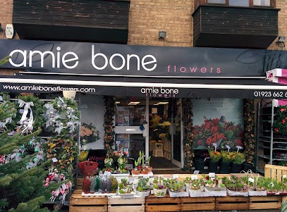Amie Bone, Florist in Watford