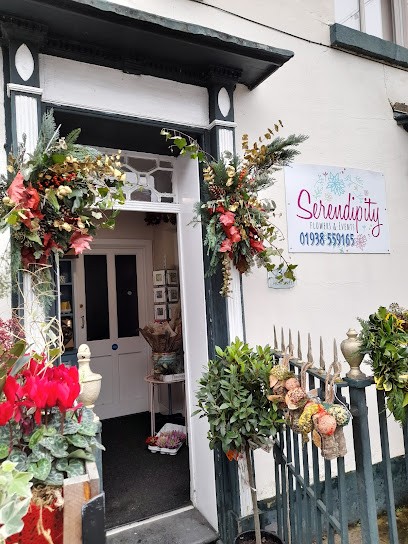 Serendipity Flowers & Events, Florist in Welshpool