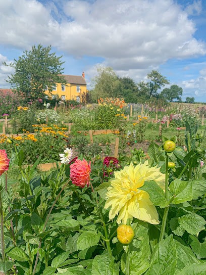 Sauf Hall Flowers, Florist in Stockton-on-Tees