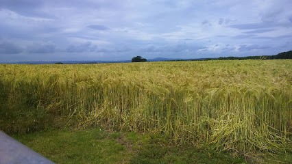 Pritchard, Florist in Wolverhampton