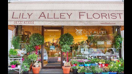Lily Alley Florist, Florist in St Albans