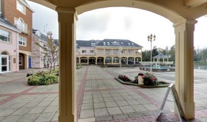 The Lily Pot Florist, Florist in Aylesbury