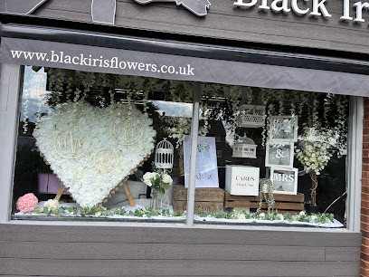 Black Iris Flowers, Florist in St Albans
