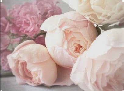 Peonies And Petals, Florist in Wickford