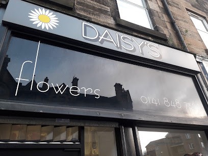 Daisy's Flowers, Florist in Paisley