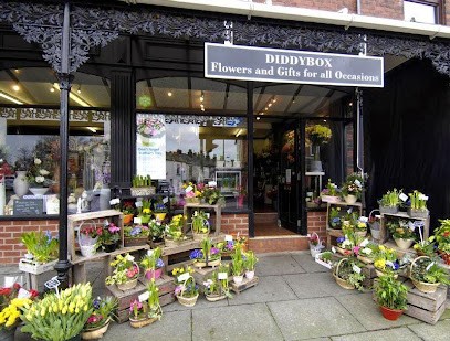 The Diddybox Ltd, Florist in Bolton