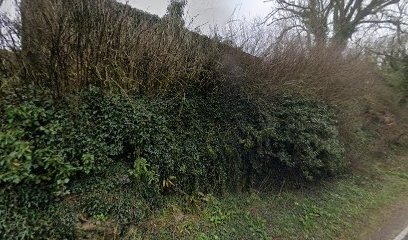 Manor House Flowers Cwmffrwd, Florist in Carmarthen