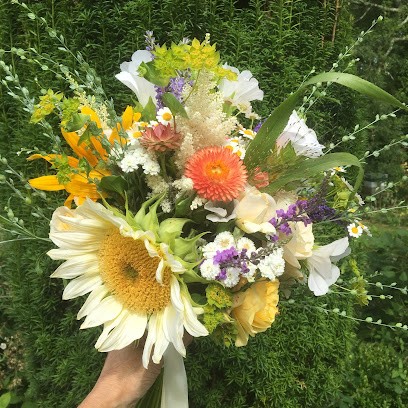 Cornish Farm Flowers, Florist in Truro