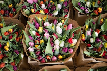 Catkins, Florist in Settle