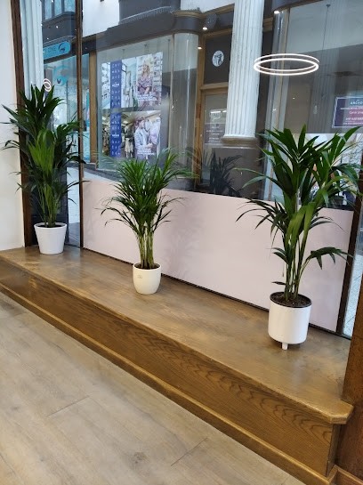 Bristol Green Fingers, Florist in Bristol