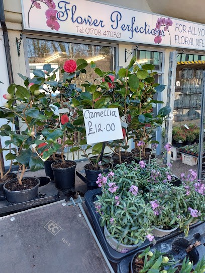 Flower Perfections Upminster, Florist in Upminster