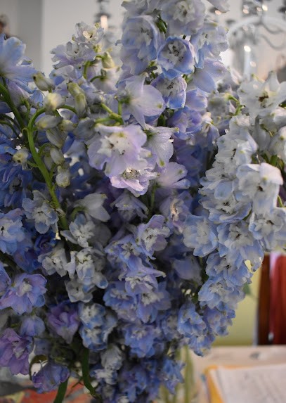 Garden of Eden Florist, Florist in Swansea