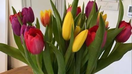 The flower fairy house, Florist in Melton Mowbray