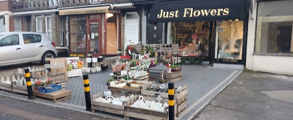 Just Flowers, Florist in Clacton-on-Sea