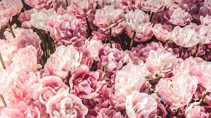 Central Co-op Florist - Walsall Road, Great Barr, Florist in Birmingham