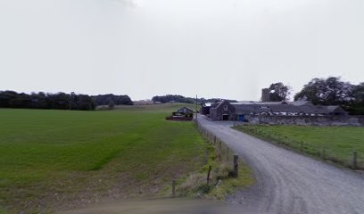 Petals & Bows, Florist in Turriff