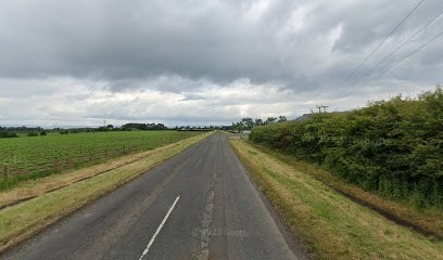 The Shed @ Granagh (Wisteria Lane Florist), Florist in Limavady