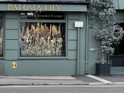 Paloma Lily, Florist in Salisbury